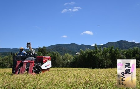 【元気つくし】古賀で育ったおいしいお米＜5kg＞　コスモス広場