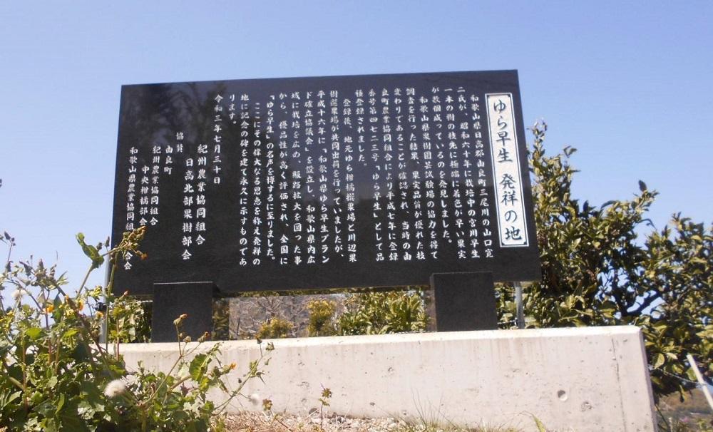 【先行予約】和歌山由良町産 由良早生みかん 約5kg サイズおまかせ(L～2S) いずれかお届け【SL2】