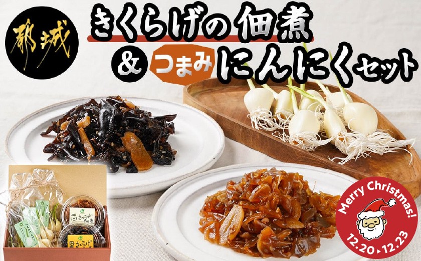 
            【☆クリスマス☆】きくらげの佃煮とつまみにんにくのセット≪12月20日～23日お届け≫_AA-C903-OJX_(都城市) 発芽にんにく 都城産 にんにく におい残りが少ない 白きくらげ 黒きくらげ 佃煮 冷蔵配送 クリスマス
          