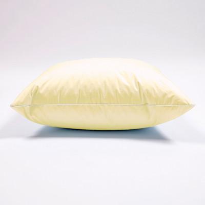 ふるさと納税 西郷村 やさしくしっかり体を支える!羽毛たっぷり　フェザークッション60(60cm角) |  | 01