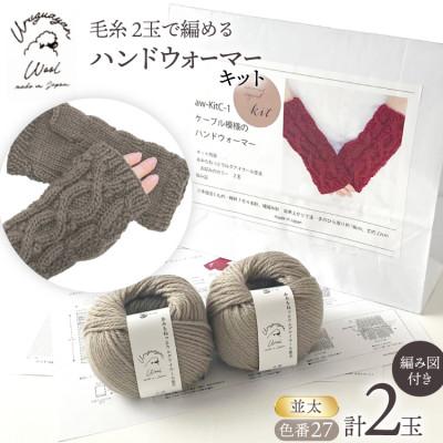 ふるさと納税 江南市 毛糸2玉で編めるケーブル模様のハンドウォーマーキット 27番色