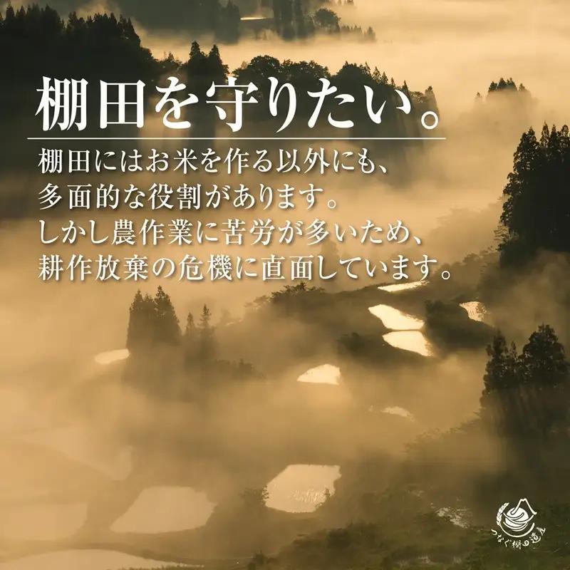 【令和8年産 先行予約】【定期便／全3回】無洗米2kg　新潟県十日町市魚沼産コシヒカリ「つなぐ棚田米」 米 こしひかり 無洗米 定期 十日町市