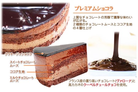 クリスマスケーキ 『ダブルショコラ』 5号 ２つの味わい♪ チョコレートケーキ【お届け予定：12/20～12/24】冷凍発送 北海道 新ひだか町 クリスマスケーキ クリスマスケーキ クリスマスケーキ 