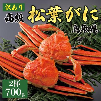 ふるさと納税 琴浦町 【2025年12月〜2026年1月発送】訳あり 松葉がに(茹)700g2杯 N80_Y