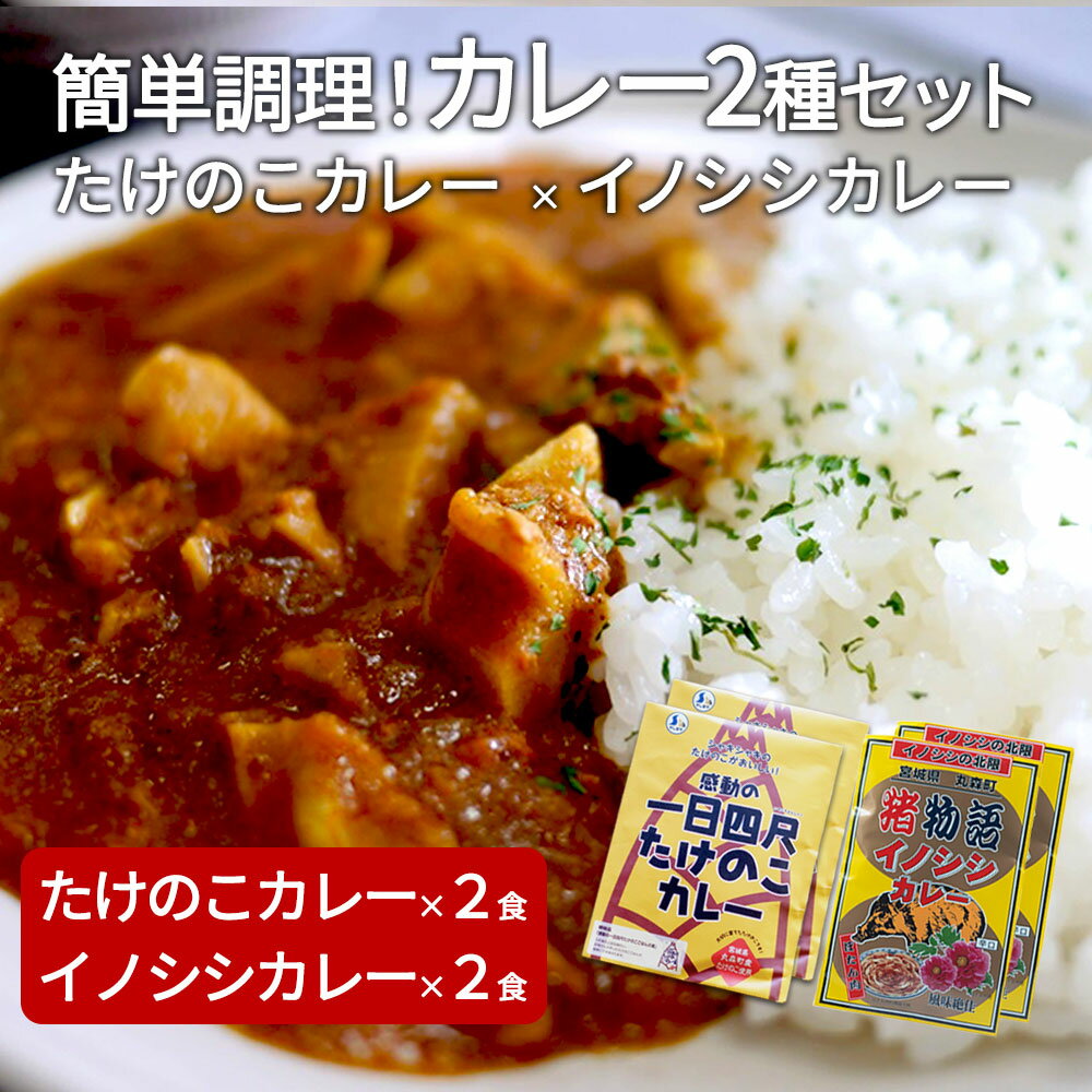 【ふるさと納税】たけのこカレー 2個 いのししカレー 2個｜丸森自慢のたけのこ 具材ゴロゴロ レトルト食品 パウチ 手軽 筍 ご飯 人気 簡単 常温保存