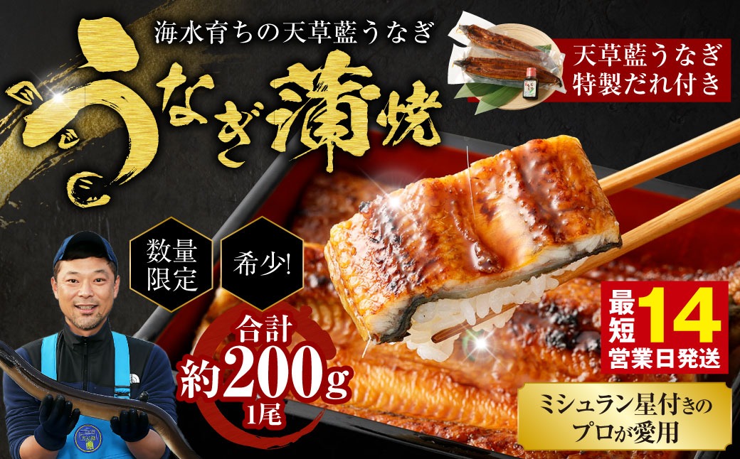 【ミシュラン星付きのプロが愛用】1日10セット限定！海水育ちの天草藍うなぎ 蒲焼き 1尾セット【合計約200g】 数量限定!! 鰻 ウナギ うなぎ うなぎ蒲焼 鰻の蒲焼 うなぎ 国産 【2026年6月下旬より順次発送予定】