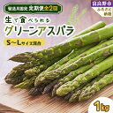 【ふるさと納税】【発送月固定定期便】「生」で食べられる!グリーンアスパラ　1kg(SからLサイズ混合) 全2回【配送不可地域：離島】【4008506】