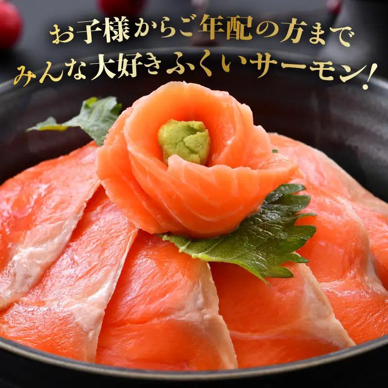 【6ヶ月連続お届け】ふくいサーモン 400g (刺身用) 真空冷凍 100g×4パック×6回【サーモン 鮭 刺身 サケ 小分け 生食 国産】 [H-6202]