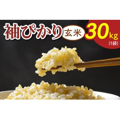 ふるさと納税 袖ケ浦市 令和7年産 袖ぴかり(コシヒカリ)玄米 30kg