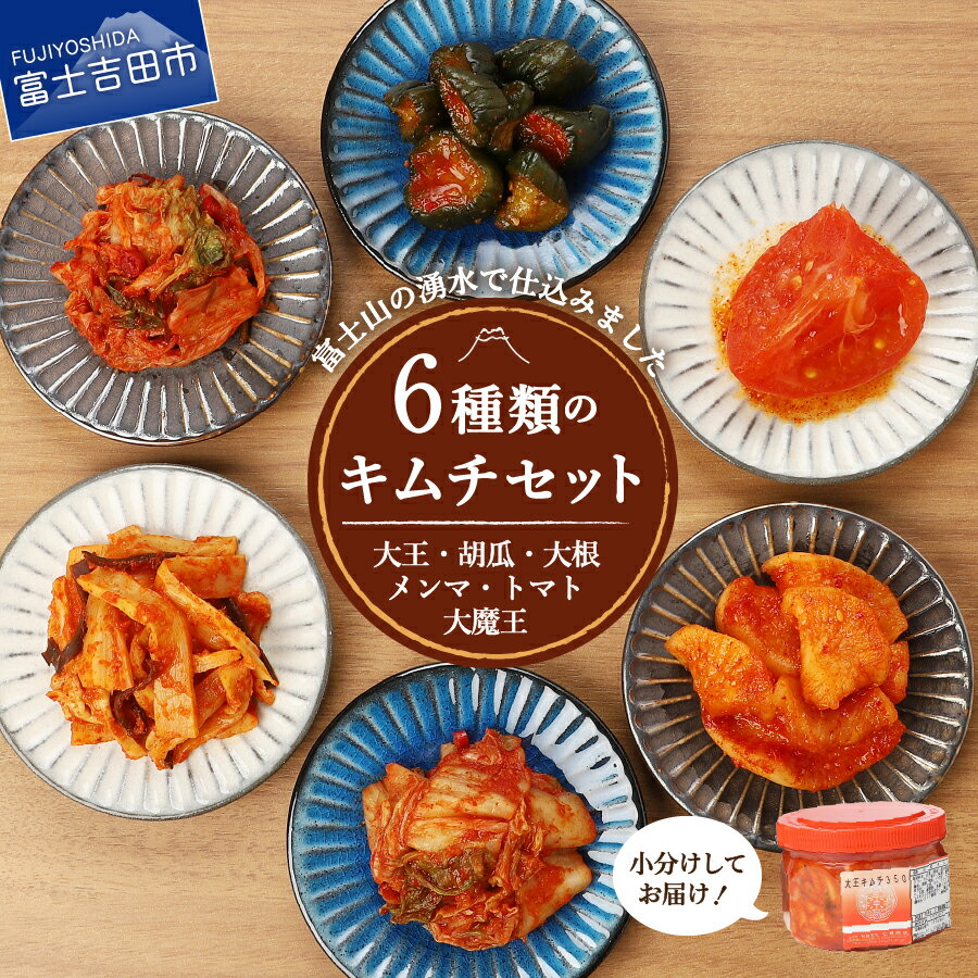 【ふるさと納税】 キムチ 詰め合わせ 6種類 キムチ彩りセット 食べ比べ セット 小分け 個包装 白菜キムチ カクテキ オイキムチ メンマキムチ トマト 大魔王キムチ 大根 胡瓜 きゅうり 人気 新鮮 うまみ レギュラーセット 人気 キムチ ふるさと納税