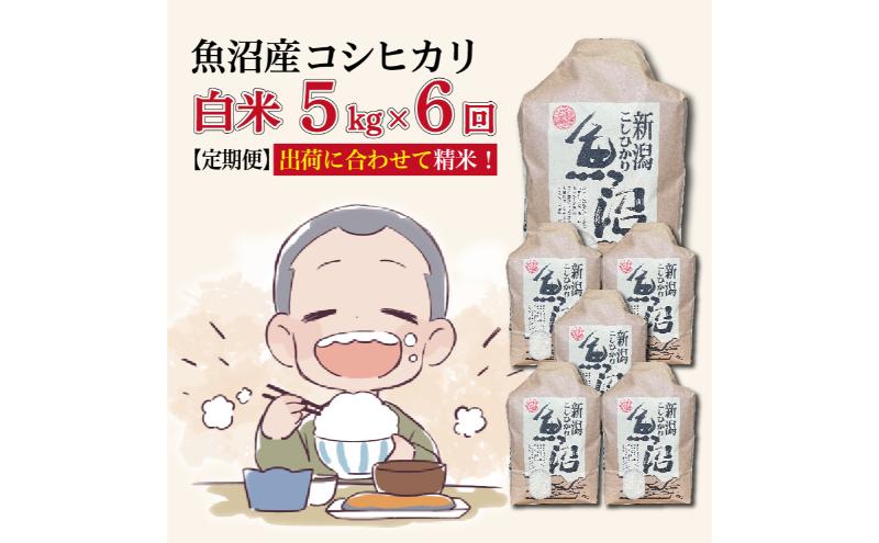 【6カ月定期便】令和７年産 魚沼産コシヒカリ 精米 5kg×6回 計30kg
