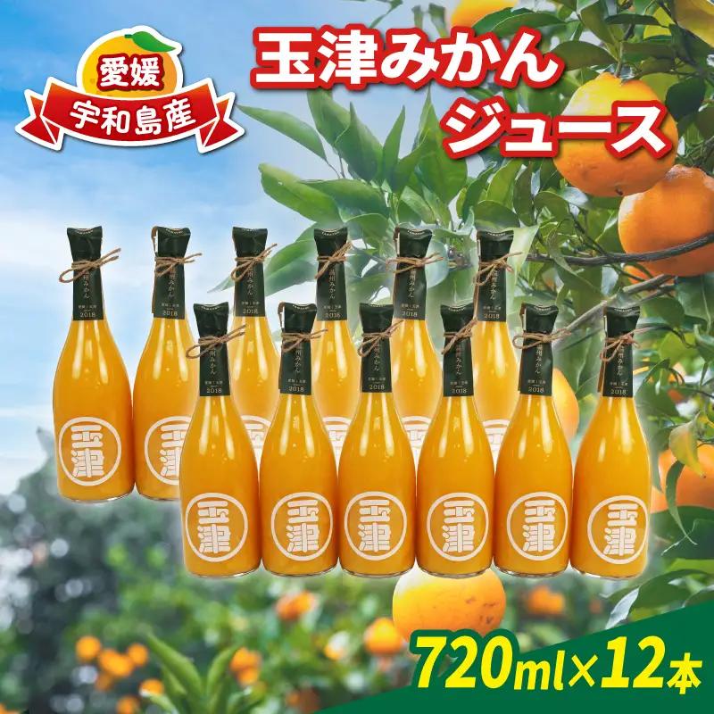 みかんジュース 720ml× 12本 玉津柑橘倶楽部 ジュース H040-072052