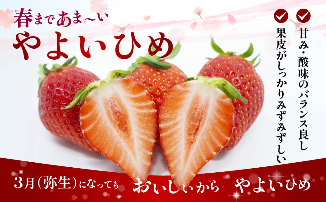 【2026年 先行予約】家庭用いちご　やよいひめ（群馬県オリジナル品種のイチゴ）約280g×４パック（箱入り）