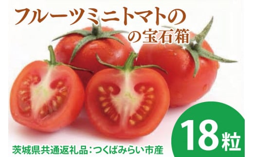 【先行予約】フルーツミニトマトの宝石箱 18粒（茨城県共通返礼品：つくばみらい市産）※2026年1月上旬～3月下旬頃に順次発送予定（CD090）