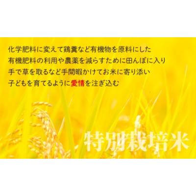 ふるさと納税 大野市 【令和7年産】【3ヶ月定期便】こしひかり 3kg × 3回 計9kg【白米】「特別栽培米」 |  | 03