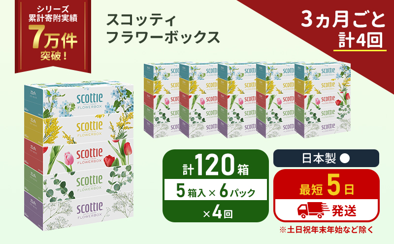 定期便 ティッシュ スコッティ フラワーボックス 120箱 (5箱×6パック)《3ヶ月ごと計4 回》 ティッシュペーパー ティシューペーパーボックスティッシュ ボックスティシュー ティシュペーパー 防災 災害 日用品 生活用品 生活必需品 宮城県 岩沼市