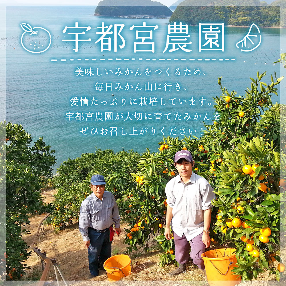 ＜産地直送！愛媛県明浜町産 せとか 約5kg＞ セトカ 果物 くだもの みかん ミカン 柑橘 フルーツ 柑橘類 果実 高級 糖度 果汁 柑橘の大トロ 甘い 国産 特産品 宇都宮農園 愛媛県 西予市