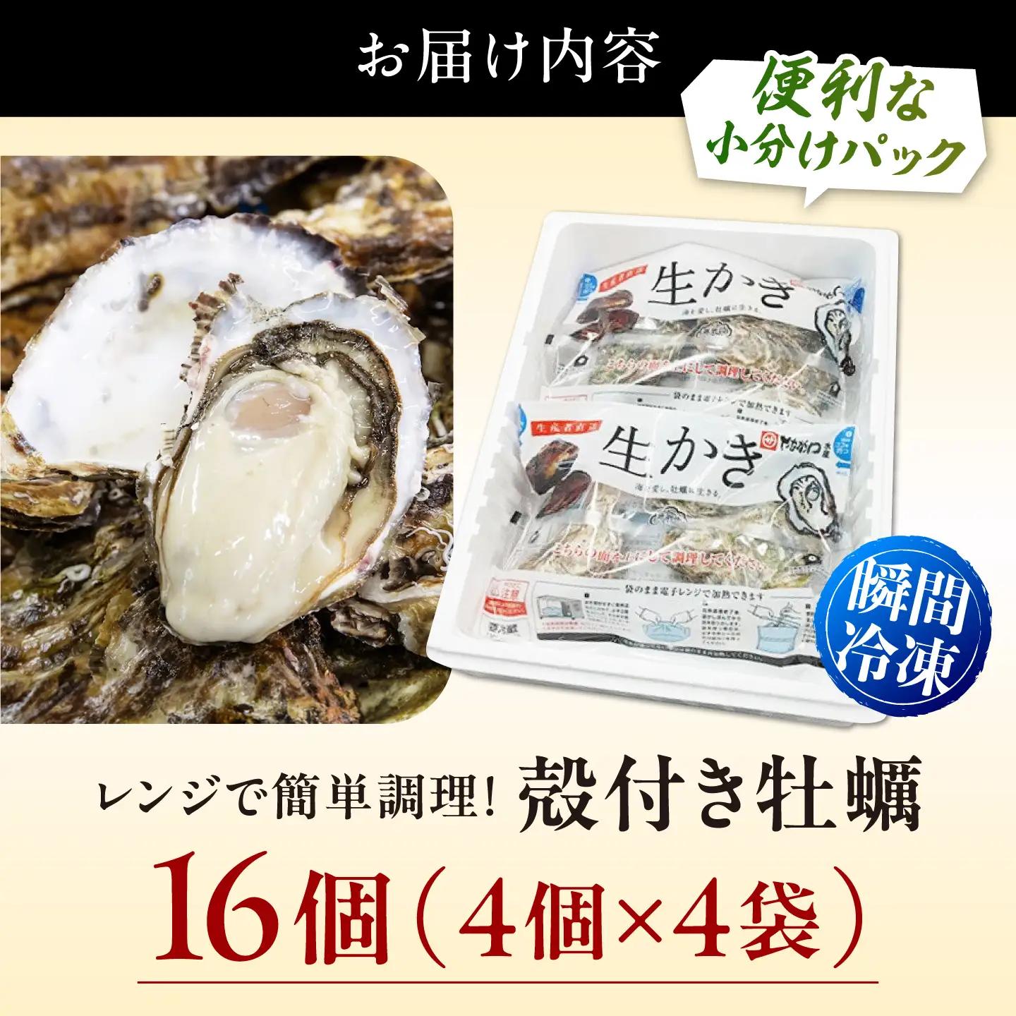 冷凍牡蠣 殻付き牡蠣16個 牡蠣[XBL004]