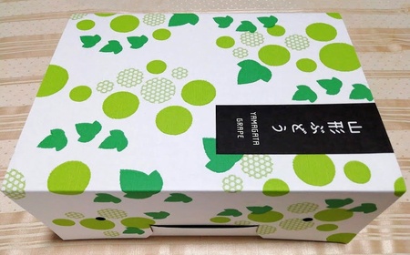 【樹上完熟】シャインマスカット　１.７ｋｇ（もぎたて直送）　0148-2615