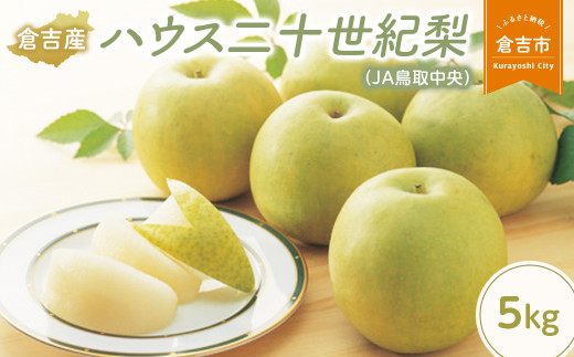 ハウス二十世紀梨【倉吉産】5kg（JA鳥取中央） 鳥取 梨 果物 フルーツ 和梨 先行予約 数量限定 詰め合わせ 二十世紀梨 20世紀梨 人気 甘い 今が旬