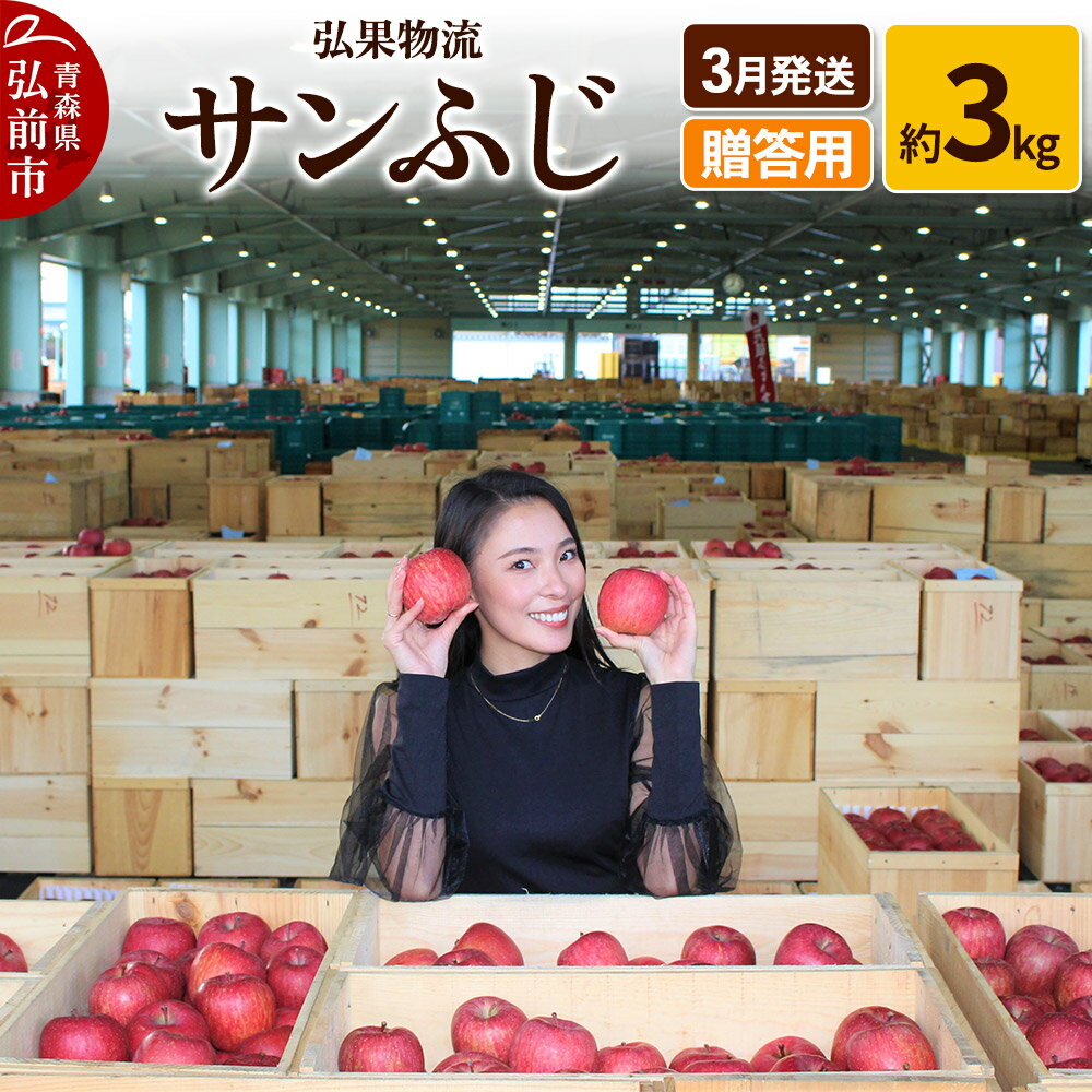 【ふるさと納税】りんご【3月発送】贈答用 サンふじ 約3kg