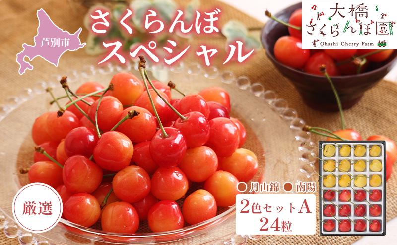 【 先行受付 】さくらんぼ 厳選 さくらんぼ スペシャル 2色 