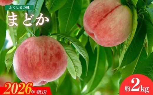 No.1508福島のもも「まどか」約2kg【2026年発送　先行予約】