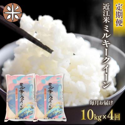 ふるさと納税 竜王町 【毎月定期便】ミルキークイーン 白米10kg (5kg×2袋)全4回