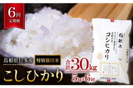 島根県仁多産コシヒカリ特別栽培米5㎏定期便6回【仁多米 コシヒカリ 特別栽培米 定期便 5kg 6回 合計30kg ブランド米 お米 米 精米 白米 人気 金賞受賞 安全 安心】