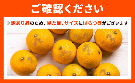 【先行予約】訳あり スイートスプリング 5kg｜柑橘柑橘柑橘都呂々