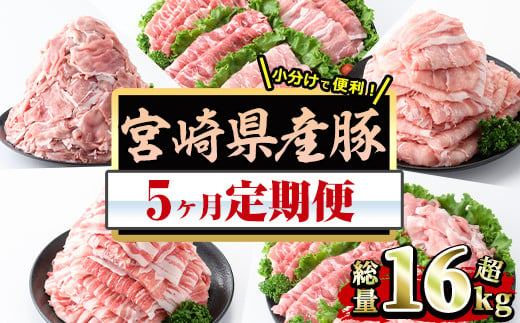 【定期便・全5回(連続)】数量限定！宮崎県産豚定期便(総量16kg超・5ヶ月連続)豚肉 ロース バラ モモ スライス 小間切れ 小分け 生姜焼き しゃぶしゃぶ 冷凍 国産【MF-61】【エムファーム】