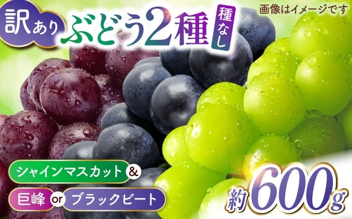 
            【訳あり】こば農園 種なし ぶどう 2種食べ比べセット 約600g （ シャインマスカット & 巨峰 or ブラックビート）【合同会社 こば農園】 [ZFO004]
          