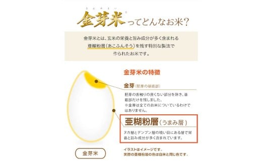 子育て応援米 【令和7年産】 那岐山麓菜の花米金芽米 （ コシヒカリ ） 10kg （5kg×2袋） お米 米 金芽米 無洗米 岡山県