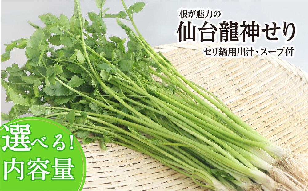 
                  【期間限定】根が魅力の仙台龍神せり鍋出汁セット（セリ鍋用出汁・スープ付）【選べる種類 2～10人前】 [せり鍋 仙台名物 冬 ごちそう 惣菜 セリ]
                