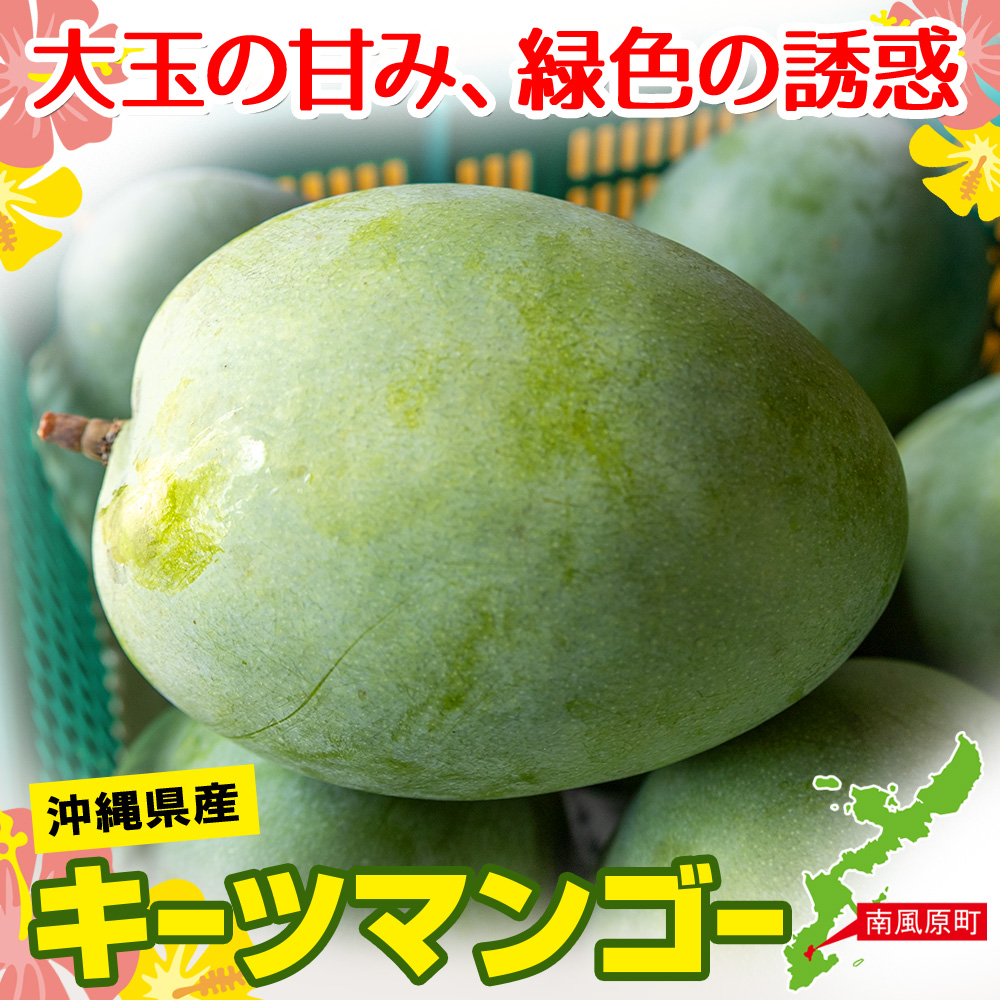 【2025年発送】南国の果物　沖縄県産マンゴー　キーツ　2kg_イメージ3
