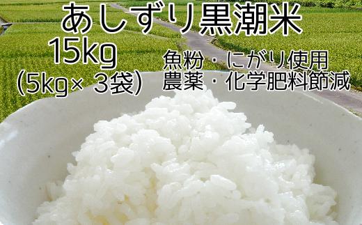 
            令和6年産  あしずり黒潮米15kg（5kg×3袋）【コシヒカリ】精米 白米 こめ コメ おコメ こしひかり ブランド米 15キロ 国産 送料無料 高知県 にがり【R01307】
          