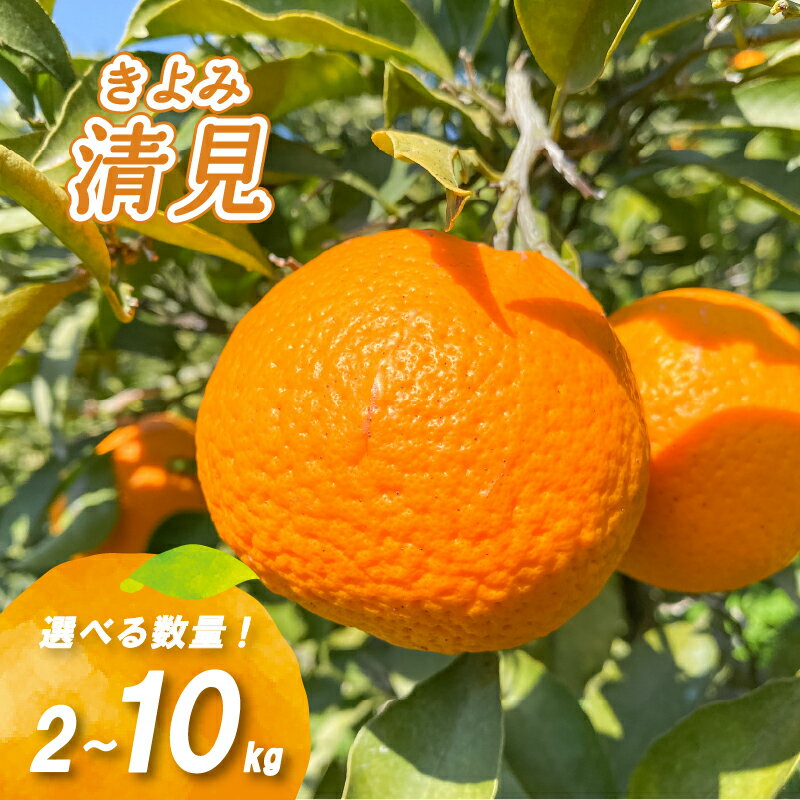 【ふるさと納税】 【2026年2月下旬より発送】低農薬栽培清見 2kg / 5kg / 10kg ( 数量選択可 国産 愛媛みかん 愛媛蜜柑 愛媛ミカン みかん ミカン mikan 蜜柑 柑橘 フルーツ 果物 くだもの お取り寄せ 産地直送 数量限定 人気 おすすめ 愛媛県 松山市 送料無料 )