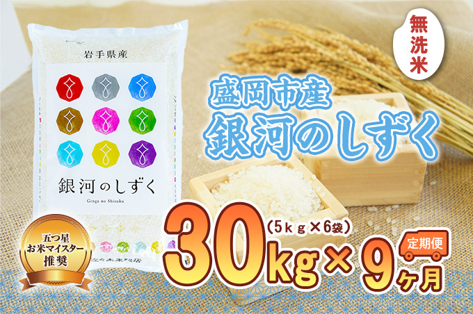 【9か月定期便】盛岡市産銀河のしずく【無洗米】30kg×9か月