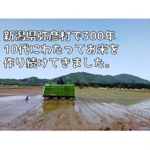 新潟県弥彦村石井農園　令和7年産 こしいぶき【玄米 10kg】【1713680】