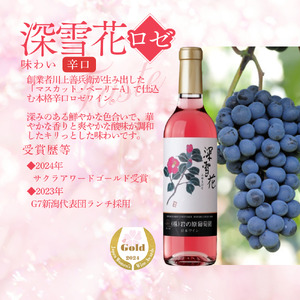 酒 岩の原ワイン 深雪花 ハーフサイズ 12本セット (赤×4本、白×4本、ロゼ×4本 各360ml) ワイン 新潟 上越 最短3日で発送