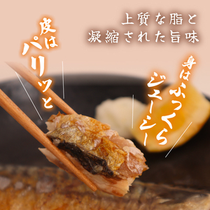 【訳あり】塩サバ 約2.7kg フィーレ 【塩さば】