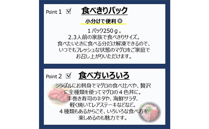 【3回定期便】天然まぐろ食べ比べ4種セット 合計1kg（バチ