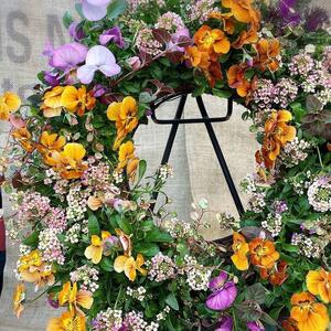 【先行予約】 花 育てる パンジー ビオラ ハンギング リース 寄せ植え 生花 自然 お花 植物 フラワー ギフト ガーデニング 飾り 庭 ベランダ 壁掛け 贈り物 静岡県 藤枝市 2025年11月よ