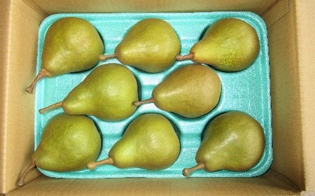 西洋梨（オーロラ）３ｋｇ　特秀品　0025-2607