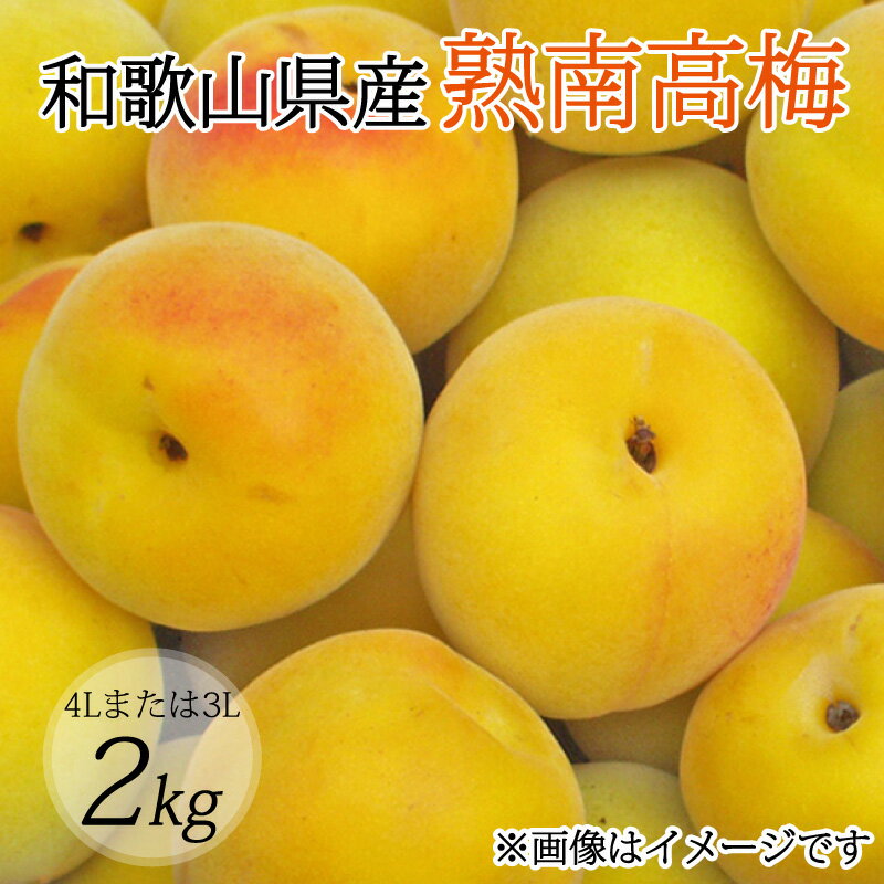 【ふるさと納税】 【梅干・梅酒用】（4Lまたは3L−2Kg）熟南高梅＜2026年6月上旬〜7月上旬ごろに順次発送予定＞(お届け指定日不可)