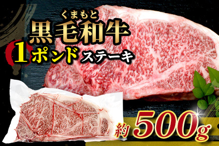 【年内お届け】くまもと黒毛和牛 1ポンド ステーキ 約500g※12月18日～28日発送※ 黒毛 和牛 1 pound ステーキ 500g ブランド牛 上質 常備 冷凍 熊本県 年内発送 年内配送 ク