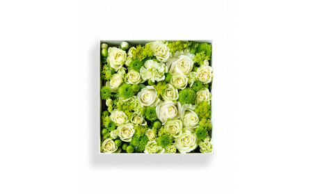 【お花の定期便】「季節毎」に届く、旬のアレンジメント Mサイズ（4回お届け）【「季節毎」に届く、旬のアレンジメント 世界らん展 フラワードリームジャパンカップ 国内主要コンテスト受賞 贈り物 神奈川県