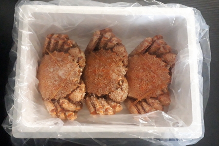 【北海道根室産】毛蟹600g×3尾 D-66013
