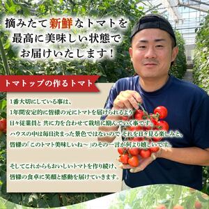 【訳あり】トマト 1kg 中玉 マキノハニー 枝完熟  静岡県 牧之原市 トマトップ