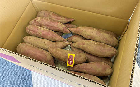 甘さ引き出す 熟成紅はるか 5kg さつまいもS～Mサイズ サツマイモ さつま芋 甘い おやつ 食品 F7X-0791